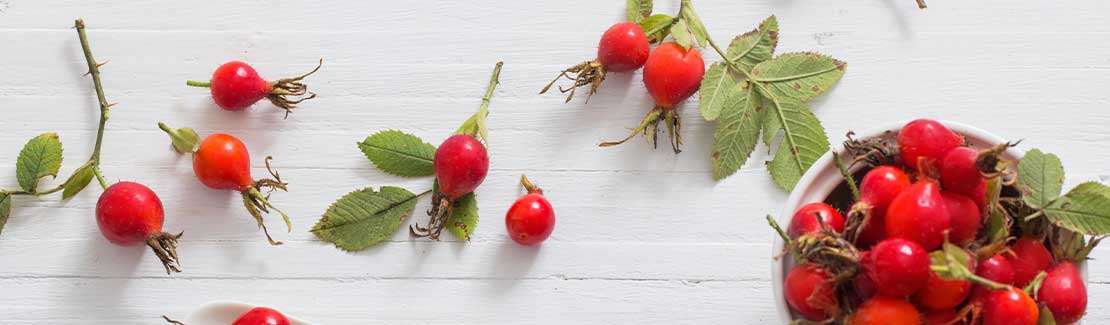 Hagebuttenpulver