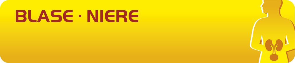 Hevert Blase- Niere