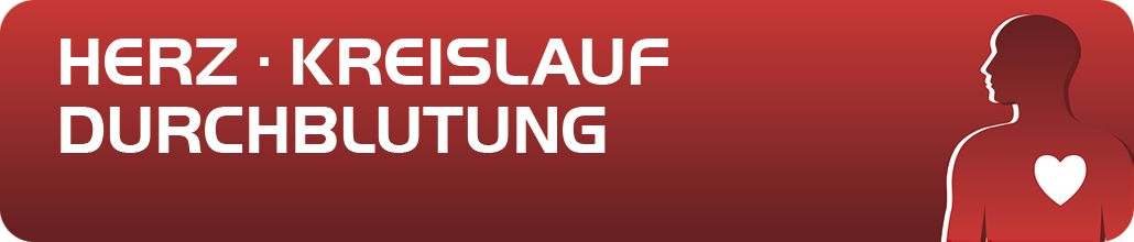 Hevert Herz - Kreislauf