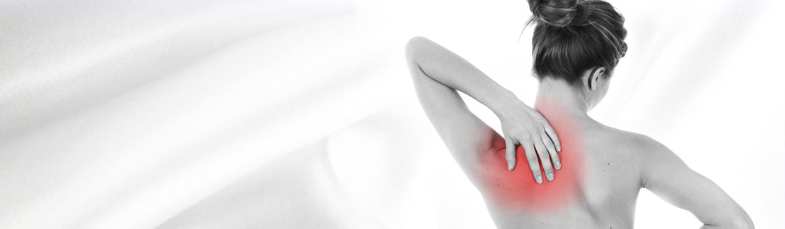 Muskel- & Knochen & Gelenke