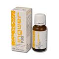 INGWER PURE Tropfen