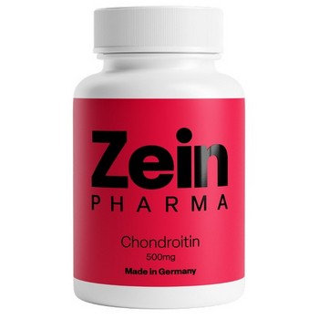 CHONDROITIN 500 mg Kapseln