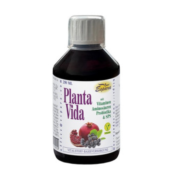 PLANTA VIDA Saft
