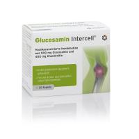 GLUCOSAMIN INTERCELL Kapseln