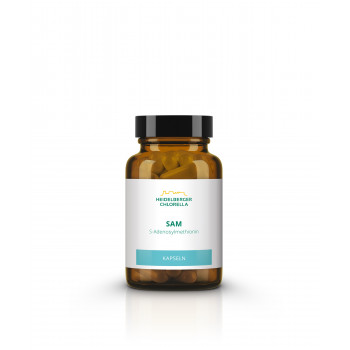 SAM S-ADENOSYLMETHIONIN Kapseln