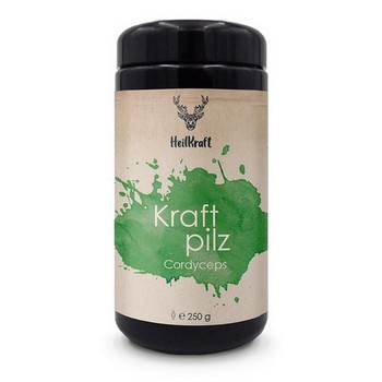 Heilkraft Kraftpilz Cordyceps